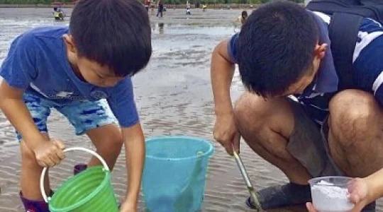 親子で一緒に楽しもう！潮干狩り体験